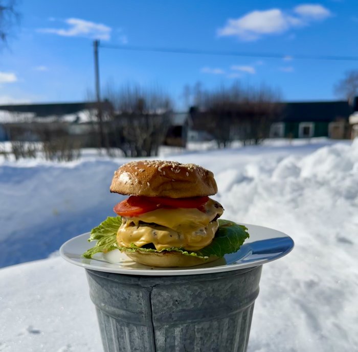 Cheeseburgare på tallrik ovanpå soptunna, snöig bakgrund, soligt, dagsljus, ost, sallad, tomat, sesambröd.