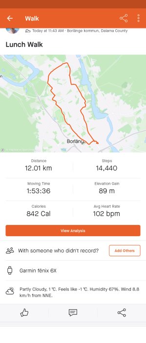 En aktivitetsspårningsapp visar en karta och statistik över en 12 km lång promenad i Borlänge, Sverige.