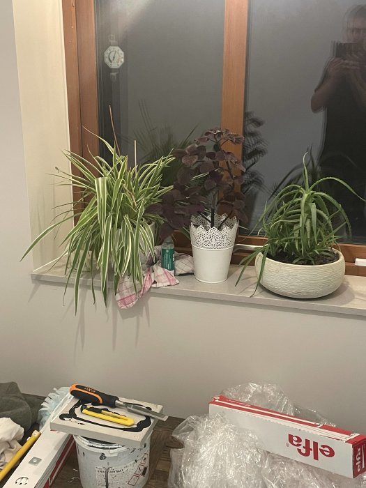 Spegelbild med krukväxter, renoveringsmaterial, verktyg, hylla, och en person fotograferar. Rörigt och ofärdigt rum.