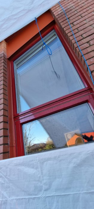 Fönster med blått rep, presenning. Röda fönsterkarmar. Tegelvägg. Reflection av träd och himmel. Möjligen underhållsarbeten pågår.