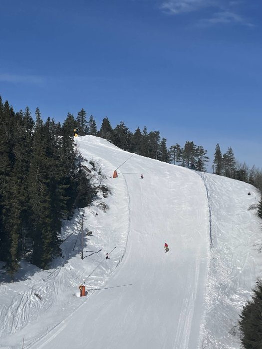 Skidbacke med lift och åkare, soligt, skog runtomkring.