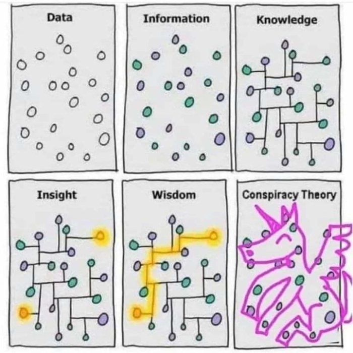 Humoristisk jämförelse av begrepp: data, information, kunskap, insikt, vishet och konspirationsteorier med växande komplexitet och en dinosaurie.