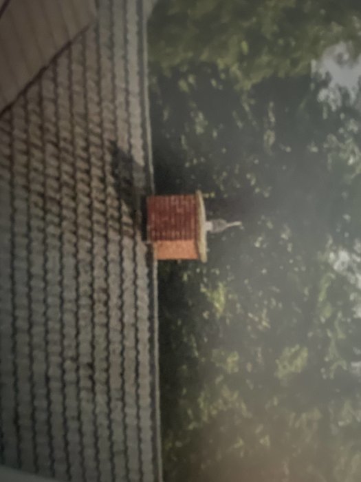 Ekorre på fågelbord, svart och vit byggnad, suddig, gröna träd i bakgrund, taget utomhus, dagtid.