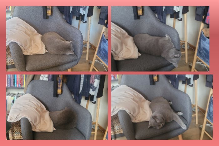 Fyra bilder, grå katt ligger i grå stol, vit tröja, interiör med kläder.