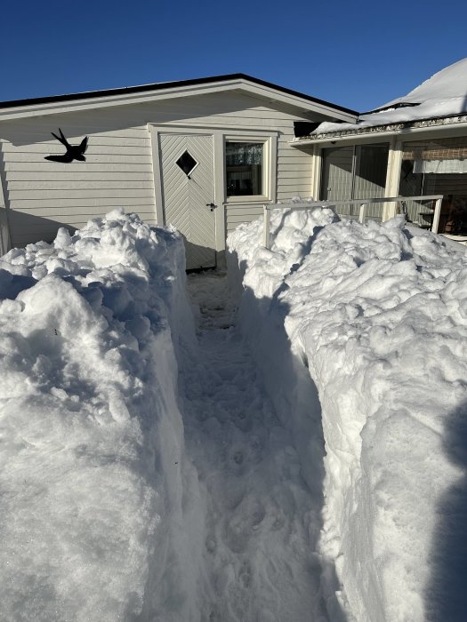 Snötäckt gång, höga snöväggar, vit husfasad, solig dag, flygande fågel i himlen.
