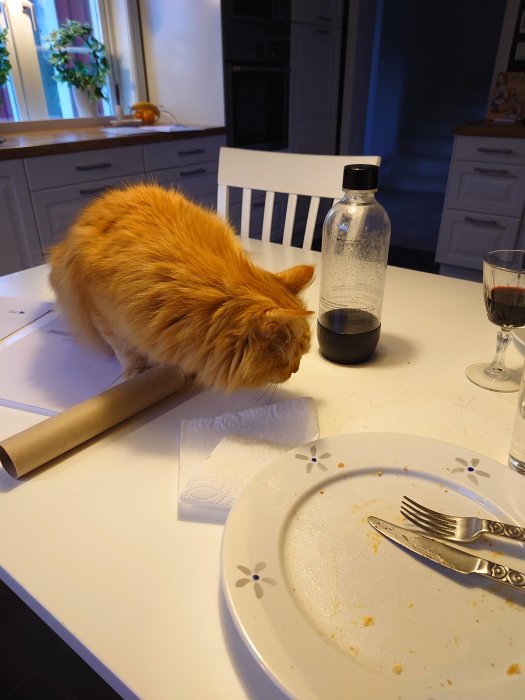 En röd katt vid köksbord med tom tallrik, bestick, vattenflaska och rödvinsglas.