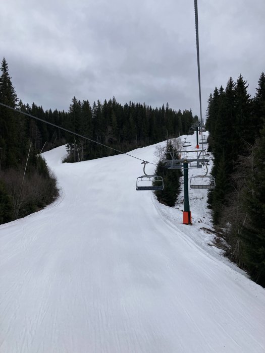 Tom skidbacke med skidlift, snötäckt piste, omgiven av barrträd, molnig himmel.