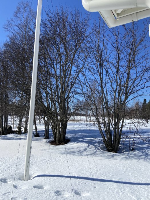 Vinterlandskap med snötäckt mark, nakna träd och blå himmel, del av byggnad i förgrunden.