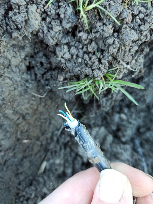 Hand håller avskalad kabel i jord; gröna blad i bakgrunden; risk för elektrisk fara.