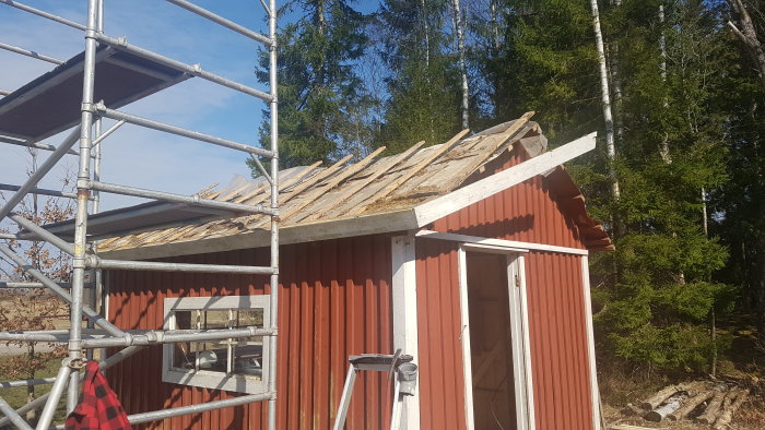 Renovering av rött trähus, avtäckt tak, byggnadsställning, skog i bakgrunden, stege, klar himmel.