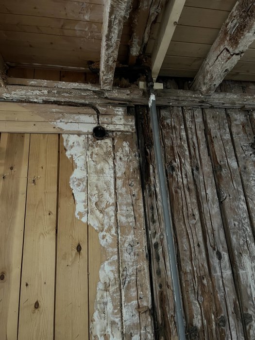 Renoveringsbehov i äldre byggnad: exponerade bjälkar, sliten vägg, elledningar och isolering synliga.