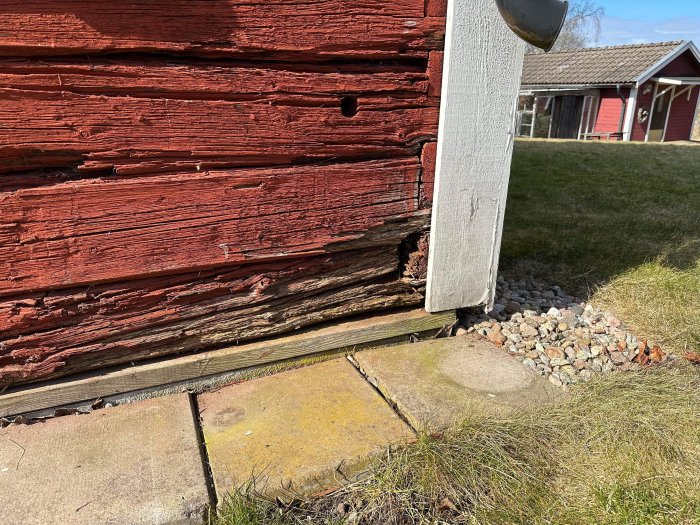 Röd trävägg med skador, avskalad färg, svartmögel, rötskyddad, stenar, gräs, soligt utomhus nära en byggnad.