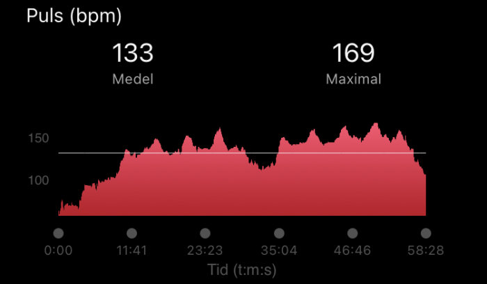 Graf över hjärtfrekvens under tid med medel- och maximala pulsvärden.