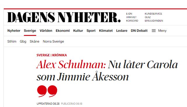 Webbsida för Dagens Nyheter, artikelrubrik om Alex Schulman och Carola, röda detaljer, nyhetskategorier.