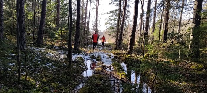 Två personer vandrar i en skog med snöfläckar och solsken.