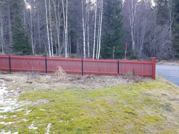 Rött staket vid skogsbryn, mossig mark, vägkant och tidig vårsäsong med spår av snö.