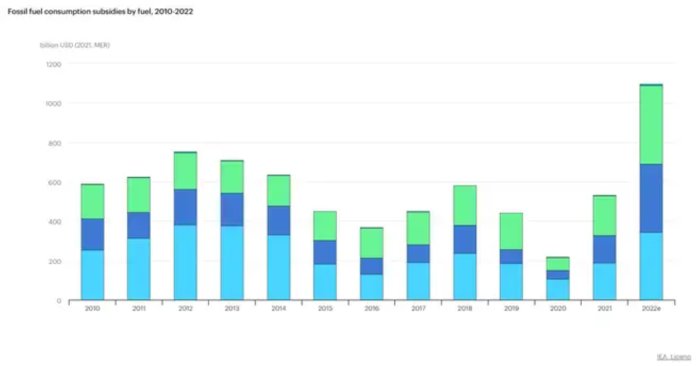 Stapeldiagram visar fossilbränslesubventioner efter bränsletyp från 2010 till 2022 i miljarder USD.