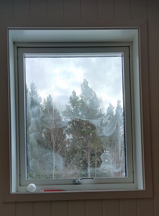Fönster i ett rum med träram, smutsigt glas, utsikt över träd och grå himmel.