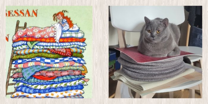 Illustration av prinsessa på ärtpodde, verklig katt liknar scenen på tyger. Humoristisk parallell, konst och verklighet.