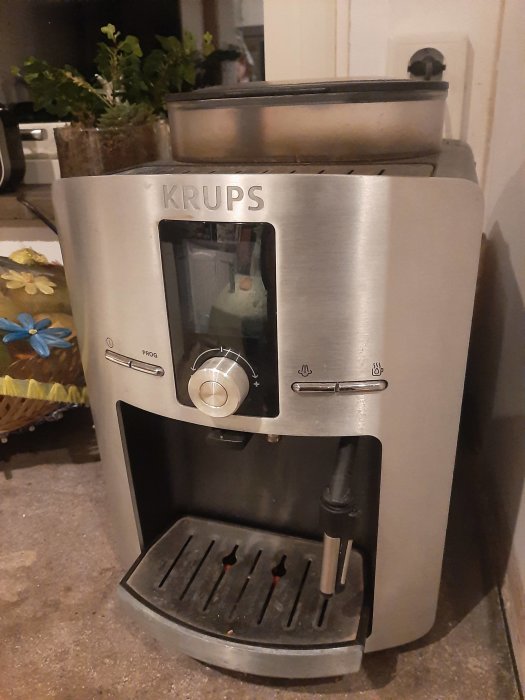 Silverfärgad KRUPS espressomaskin på köksbänk med krukväxter i bakgrunden.