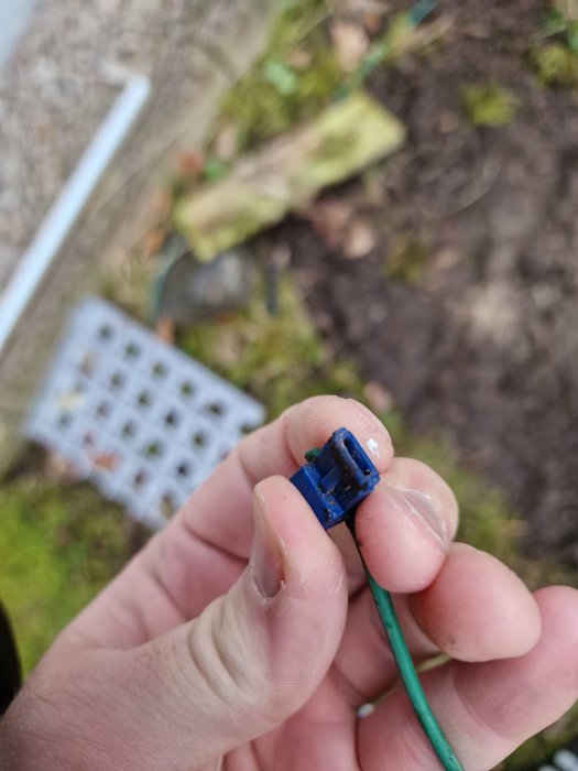 Hand håller en blå plastkontakt med grönt kabel, oskarp bakgrund med trädgård och avloppsrör.