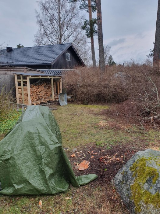 Trädgård, vedskjul, grönt presenningstäckt objekt, skottkärra, sten, hus med svart tak, tallar, molnig himmel.