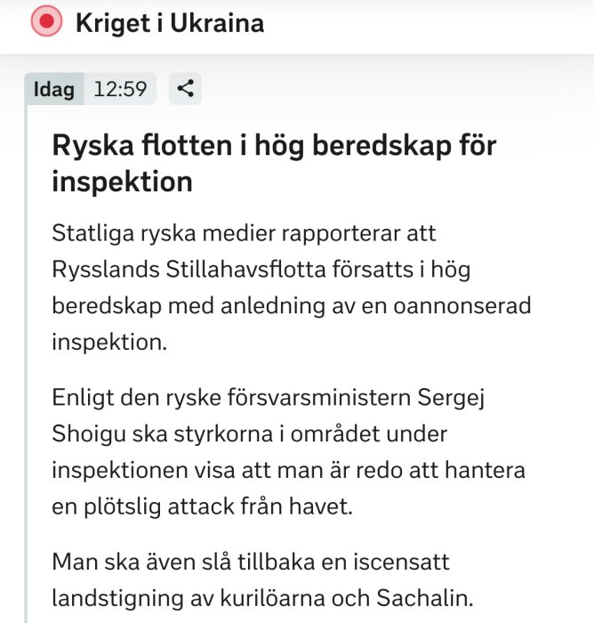 Skärmbild av en nyhetsartikel om Rysslands flotta och beredskap med relation till Ukrainakriget.