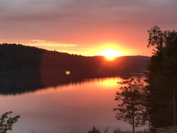 Solnedgång över stilla sjö, reflekterande ljus, skogslinje, varma färger, kvällshimmel, natur, stillhet.