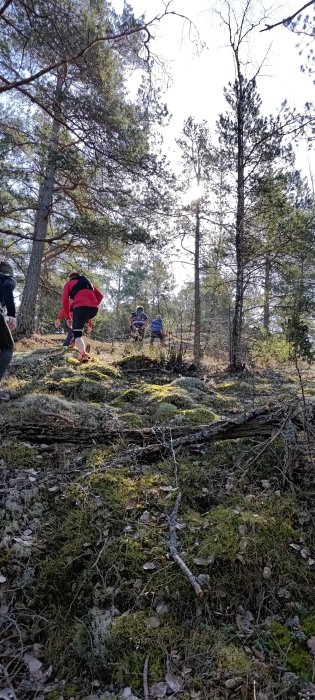 Personer vandrar i skogen, mossbevuxet mark, solljus genom trädgrenar, friluftsliv, natur, vandring.