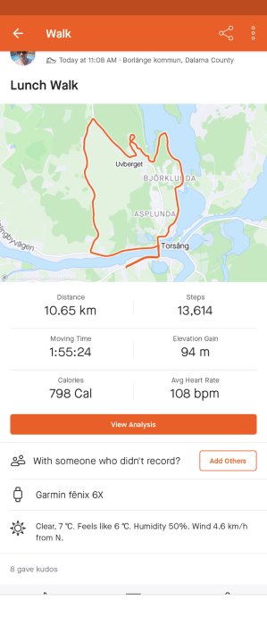 Skärmdump av aktivitetslogg, "Lunch Walk", 10.65 km, stegräknare, Garmin enhet, väderinfo, kudos från följare.