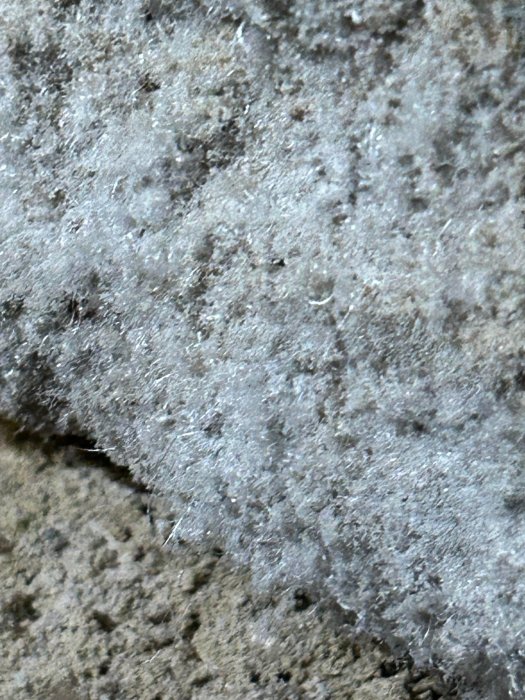 Närbild av en yta med mögel eller frost, detaljerat och texturerat, gråa och vita nyanser.