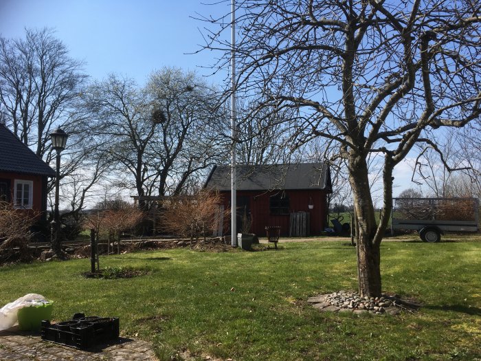 Idyllisk trädgård med röd stuga, bar träd, grön gräsmatta och klarblå himmel.