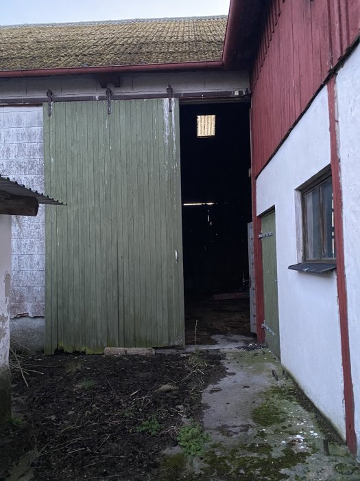 Halvöppen ladugårdsdörr, rödvit byggnad, grönt, försummelse, kvällsljus genom takfönster, landsbygd.