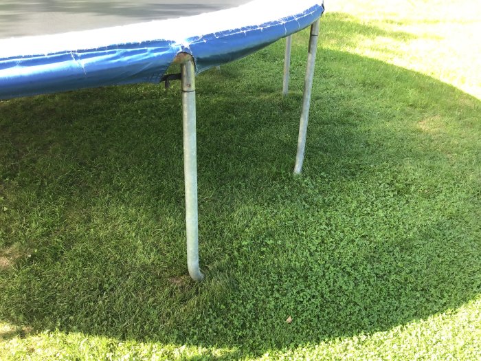 Del av trampolin på gräs med solskugga, slitna blå skyddskanter, robusta metallben.