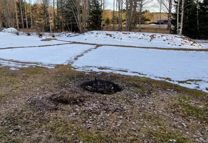 Tidig vår, smältande snö, grönt gräs framträder, markhål, träd i bakgrunden, molnig himmel, sval ljus dag.