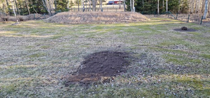 En gräsmatta med en stor hög av löv, jordfläck i förgrunden, träd och staket i bakgrunden.