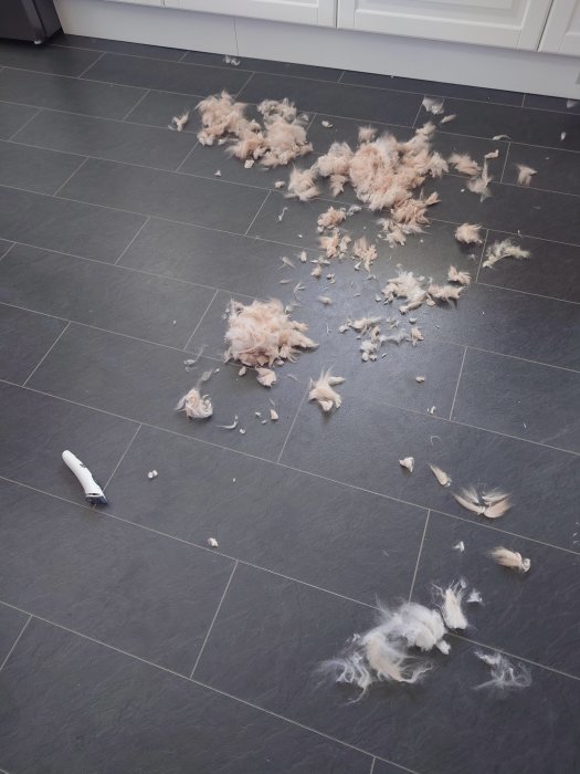 Rakhyvel och hår på ett mörkt kakelgolv, troligen efter en hund- eller kattrakning.