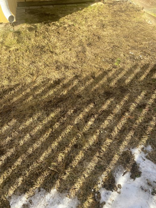 Trädgård med snörester, skuggor av träd på gulnat gräs, övergång mellan vinter och vår.