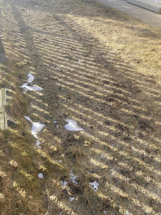 Gräsbevuxen mark med smältande snöfläckar och långa skuggor, möjligen tidig vår.