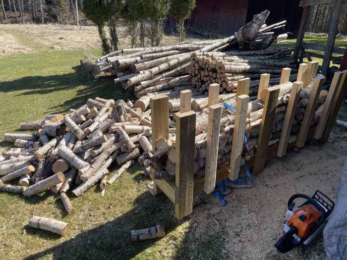 Trädgård med uthuggna trädstammar, uppstaplade vedstockar, motorsåg och staket under konstruktion på gräsmatta.