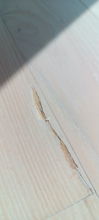 Trägolv med spricka och avskalad färg, ljusinfallande, närbild, skada, underhållsbehov.
