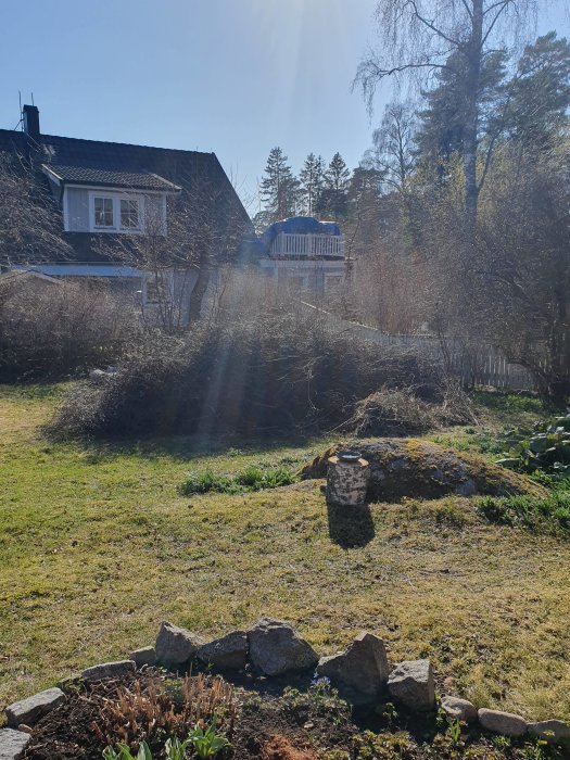 Trädgård med hus, solljus, gröna växter, stenmur, bar träd, tidig vår eller sen höst.