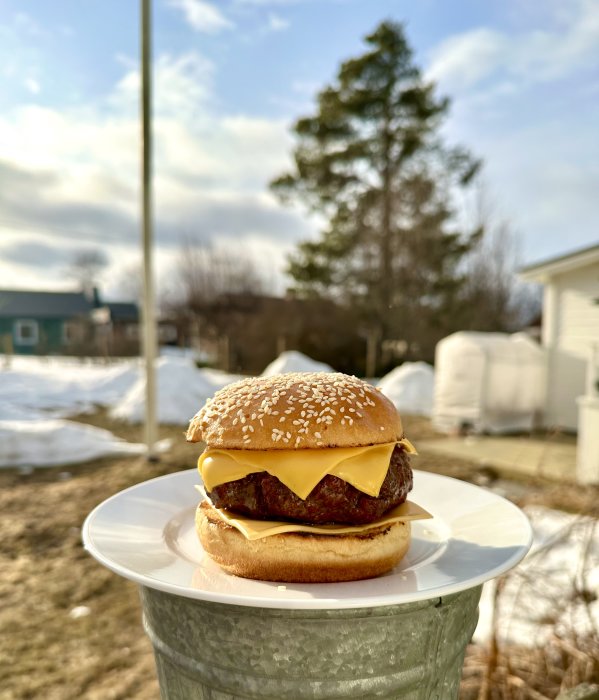 En cheeseburgare på en tallrik utomhus med snö och träd i bakgrunden.