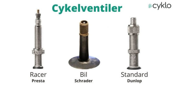 Tre olika cykelventiler: Racer Presta, Bil Schrader, Standard Dunlop, mot vit bakgrund, namngivna, pedagogisk illustration.