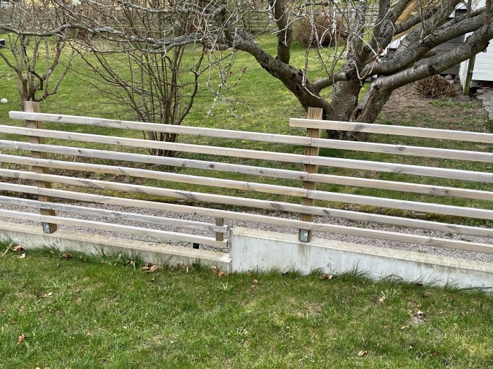 Trädgård med trästaket, gräsmatta och lövfällande träd, grå molnig himmel, yttre omgivningar, dagtid.