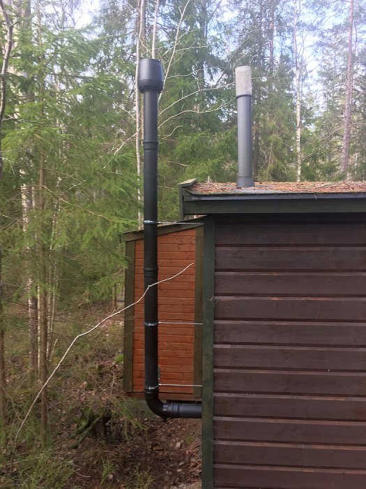 Två stugor i skogen med utvändiga skorstenar, mörka fasader, och omgivna av träd.