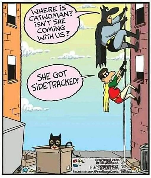 Superhjältar klättrar på vägg; en förklädd figur distraherad av en låda, humoristiskt antyder en kattlik anspelning.
