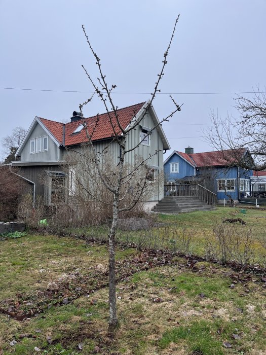 Trädgård med bar träd, gräsmatta, traditionellt trähus, molnig himmel.