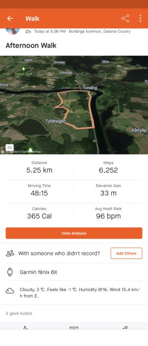 En skärmdump av en promenadaktivitet registrerad på en fitnessapp med rutt, distans, steg, tid, och väderinformation.