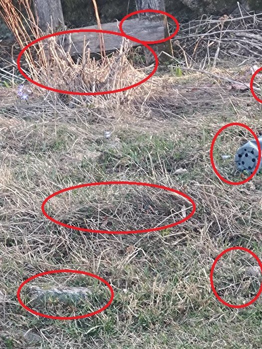 Gräsmark med nedskräpning, markerade områden indikerar potentiell förorening eller intressepunkter.